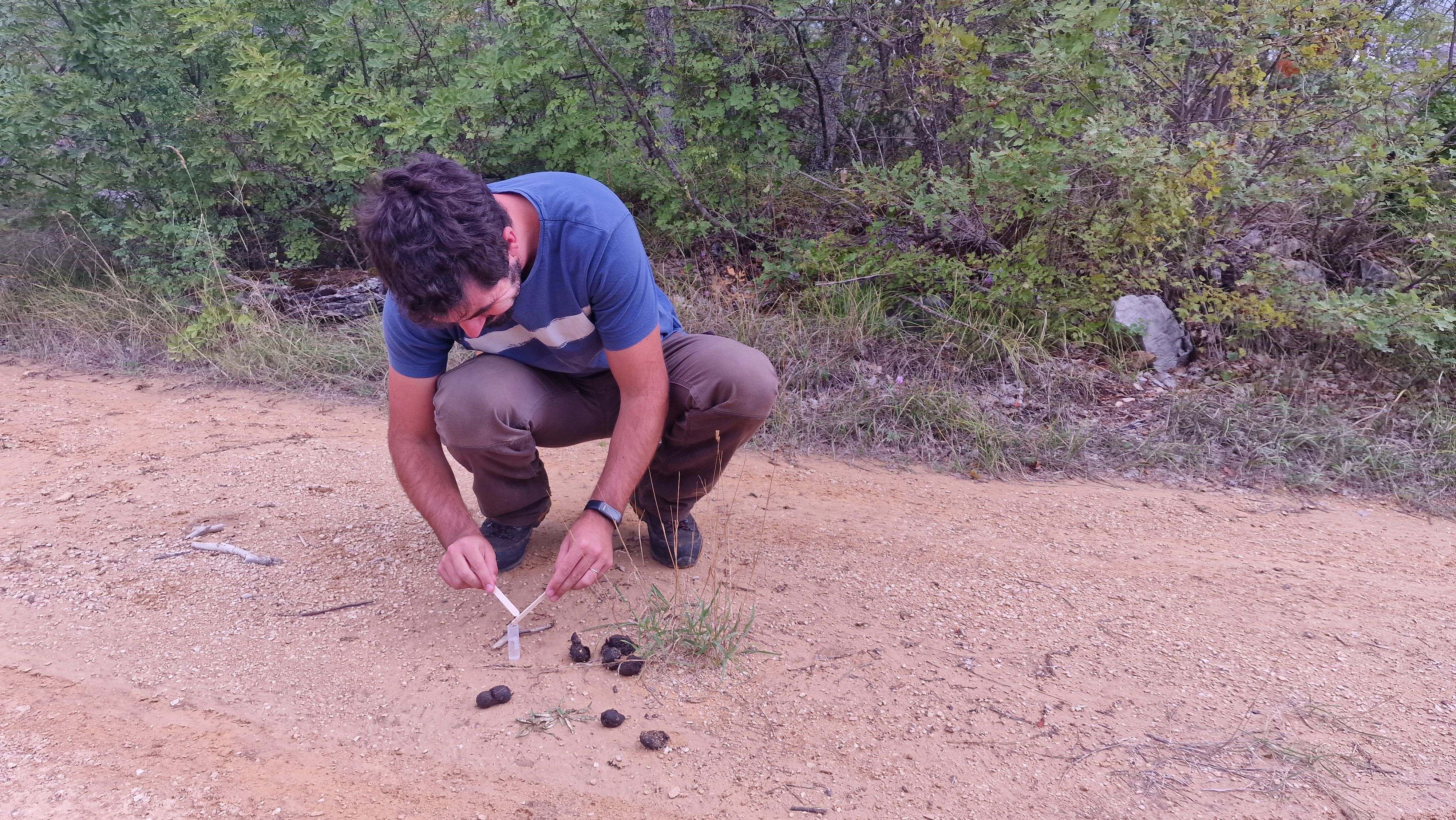 Tragač – Rezultati kampanje uzorkovanja 2023. i 2024. godine